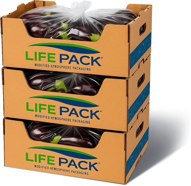 caja_lifepack_01 1